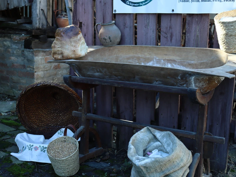 Tăr&acirc;țe din gr&acirc;u